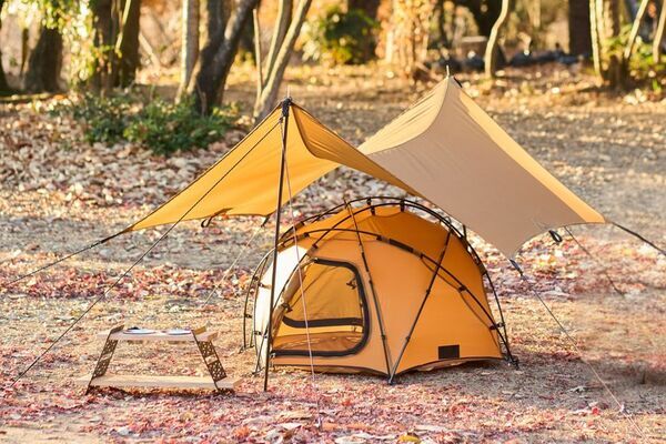 愛犬とキャンプを楽しむ　Wan＆Co.ブランド第一弾アイテム登場