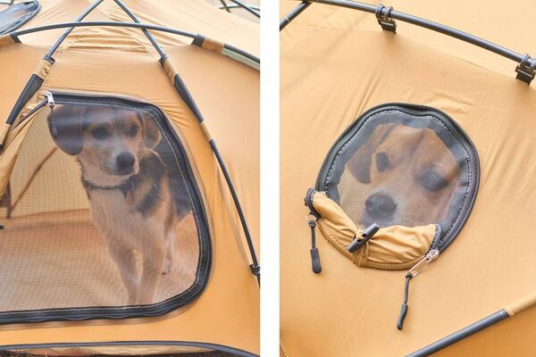 愛犬とキャンプを楽しむ　Wan＆Co.ブランド第一弾アイテム登場