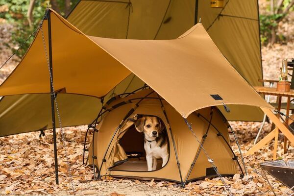 愛犬とキャンプを楽しむ　Wan＆Co.ブランド第一弾アイテム登場