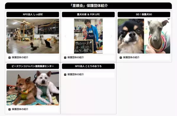 5月25日に開催される「春のワン祭り」に出店！ペットの防災セットやキーホルダーを販売