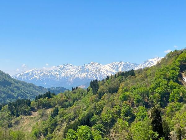長野県小谷村・自然体験を通して子どもたちの成長を応援する3泊4日のキッズサマーキャンプを7月と8月に開催！