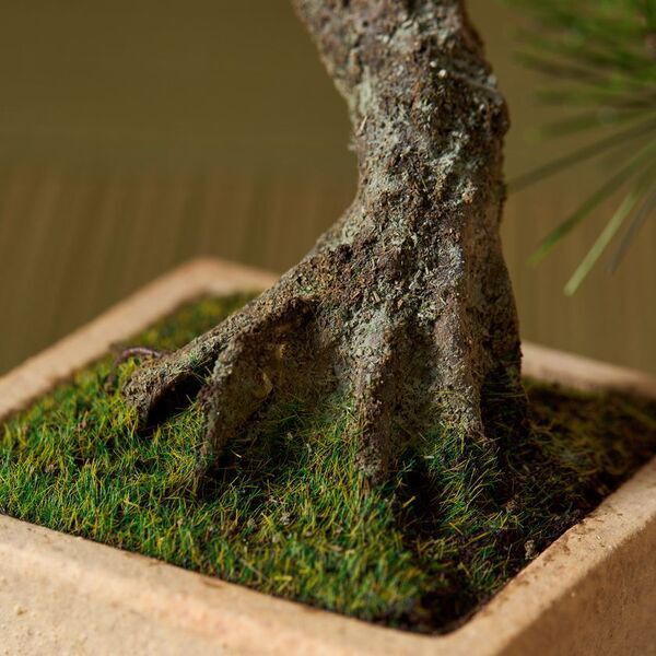 日本の職人が一から制作する本格的工芸盆栽　A-BONSAI(R)と信楽焼窯元とのコラボレーションが実現！5月18日(日)早朝5時からSHOP CHANNELで発表！