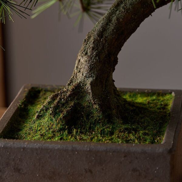 日本の職人が一から制作する本格的工芸盆栽　A-BONSAI(R)と信楽焼窯元とのコラボレーションが実現！5月18日(日)早朝5時からSHOP CHANNELで発表！