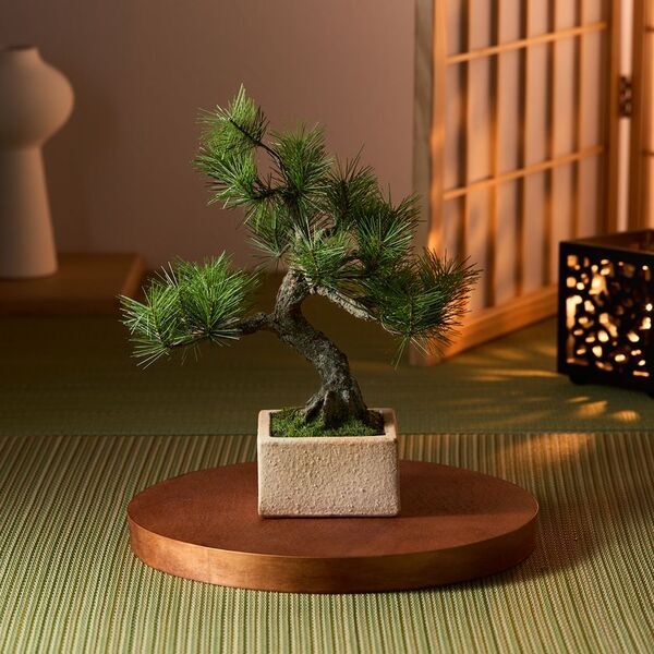 日本の職人が一から制作する本格的工芸盆栽　A-BONSAI(R)と信楽焼窯元とのコラボレーションが実現！5月18日(日)早朝5時からSHOP CHANNELで発表！