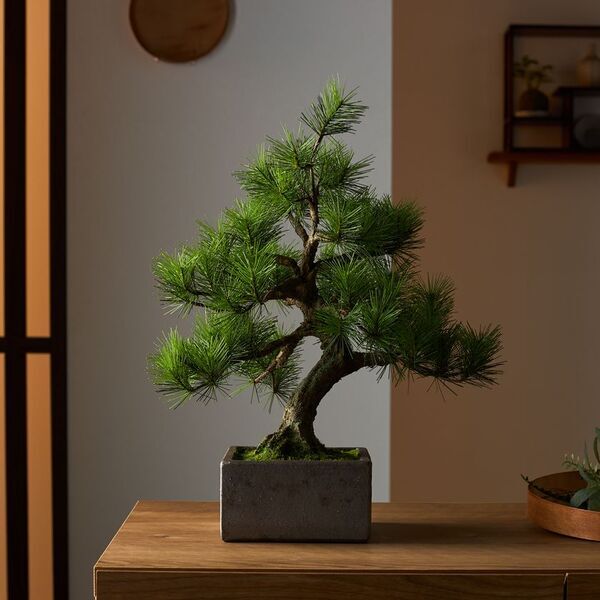 日本の職人が一から制作する本格的工芸盆栽　A-BONSAI(R)と信楽焼窯元とのコラボレーションが実現！5月18日(日)早朝5時からSHOP CHANNELで発表！