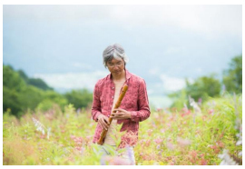 六甲高山植物園 花盛り！大群落の「クリンソウ」が見頃です