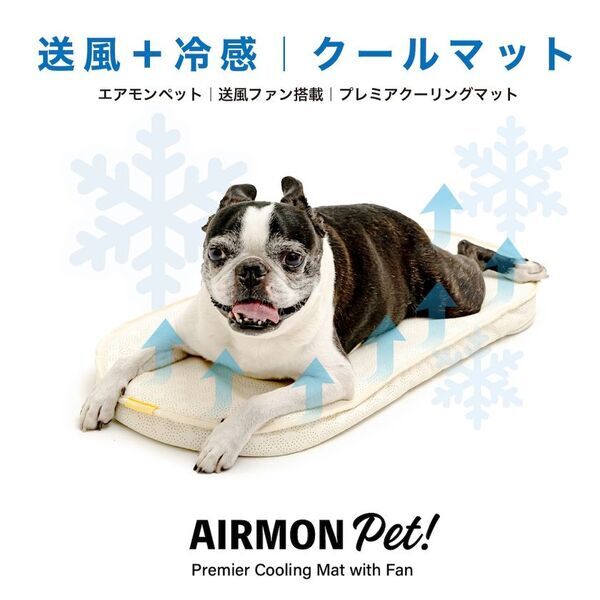 送風＋冷感！ペットの暑さ対策のための送風型クールマット「エアモンペット」が登場！Makuakeで5月20日から先行販売開始