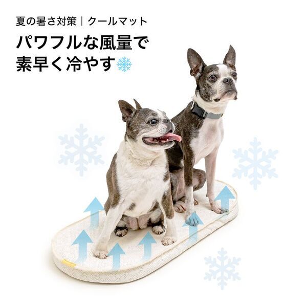 送風＋冷感！ペットの暑さ対策のための送風型クールマット「エアモンペット」が登場！Makuakeで5月20日から先行販売開始