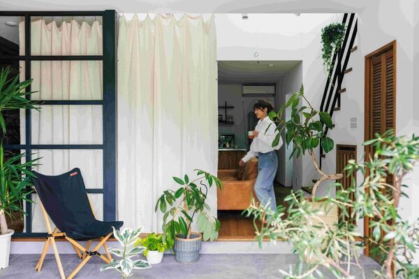 廃棄されるパイナップルの葉から生まれた高機能な新素材カーテン「KICCA」を5月20日に発売