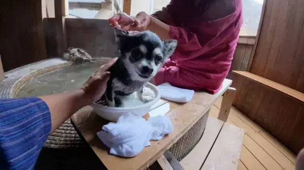 BIGLOBEが、温泉賢人が偏愛する温泉宿リスト「ペットも喜ぶ温泉宿」「ここは桃源郷！温泉サウナ」を本日公開