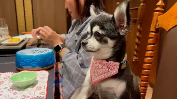 BIGLOBEが、温泉賢人が偏愛する温泉宿リスト「ペットも喜ぶ温泉宿」「ここは桃源郷！温泉サウナ」を本日公開