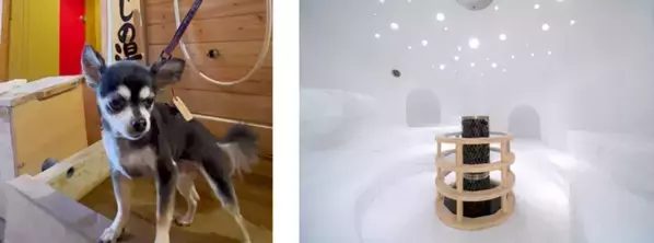 BIGLOBEが、温泉賢人が偏愛する温泉宿リスト「ペットも喜ぶ温泉宿」「ここは桃源郷！温泉サウナ」を本日公開