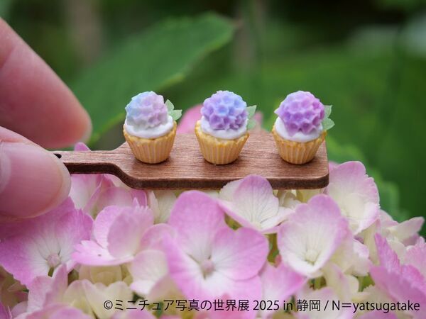 祝 ねこ休み展10周年！＆新作ミニチュアアートが静岡上陸♪「ねこ休み展」「ミニチュア写真の世界展」6/14(土)～7/21(月・祝) 静岡パルコで開催！