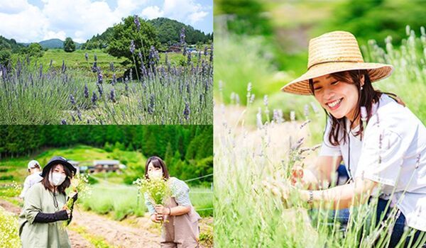 ＜6/28(土)＞化粧品原料を有機栽培する体験・キャンプ施設でスキンケア原料の『ハーブ収穫体験会』を開催