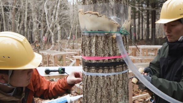 5月28日(水)深夜放送！中京テレビ制作　GO GO GREEN特別番組「森、燃やす青春」