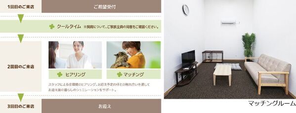 ジョイフル本田が運営するペット専門店「Pet's CLOVER 伊勢崎田中島町店」が6月4日オープン　～社会問題と向き合う犬猫生体の新提供スタイル「CLOVER STEP」始動～