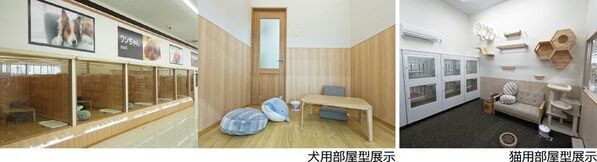 ジョイフル本田が運営するペット専門店「Pet's CLOVER 伊勢崎田中島町店」が6月4日オープン　～社会問題と向き合う犬猫生体の新提供スタイル「CLOVER STEP」始動～