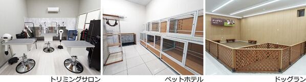 ジョイフル本田が運営するペット専門店「Pet's CLOVER 伊勢崎田中島町店」が6月4日オープン　～社会問題と向き合う犬猫生体の新提供スタイル「CLOVER STEP」始動～