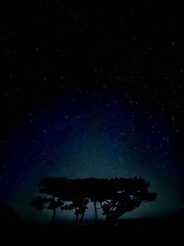 石垣島で究極のリトリート体験が味わえる1日1組限定の一棟貸しヴィラ「呼吸する宿」がクラウドファンディング開始