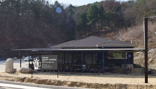 美容大国・韓国の希少な高麗人参エキス「羅参仙(ラサンセン)」6月25日 待望のオンライン販売開始！美と健康の未来型健康投資