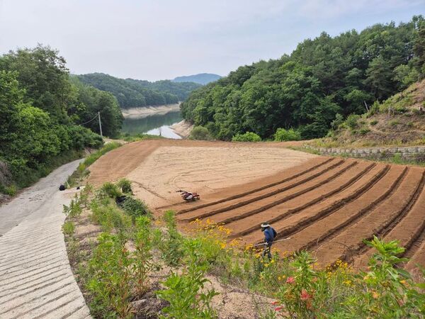 美容大国・韓国の希少な高麗人参エキス「羅参仙(ラサンセン)」6月25日 待望のオンライン販売開始！美と健康の未来型健康投資