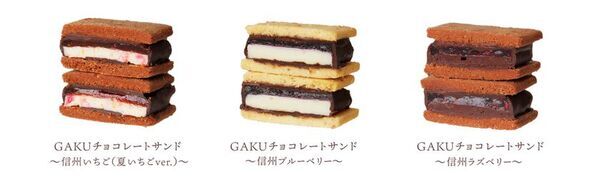 「信州ショコラトリーGAKU サマーベリーセレクション」信州産夏いちご・ブルーベリー・ラズベリーとチョコレートのマリアージュ