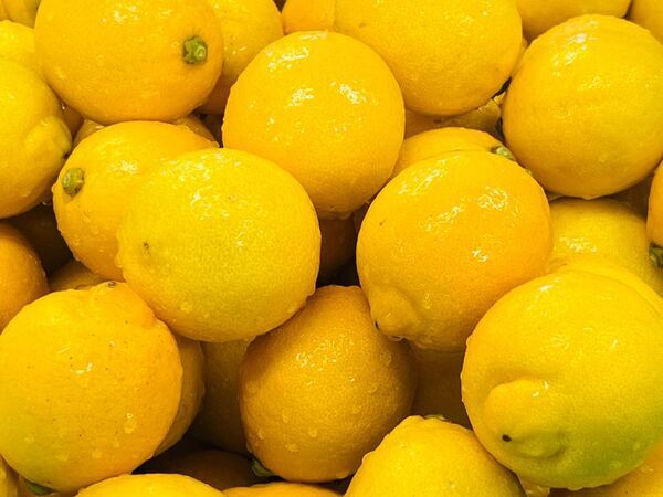 永楽屋から琥珀糖×かき氷の夏限定「レモンの雫氷」登場！瀬戸田のエコレモンを京の職人が特別なかき氷に！