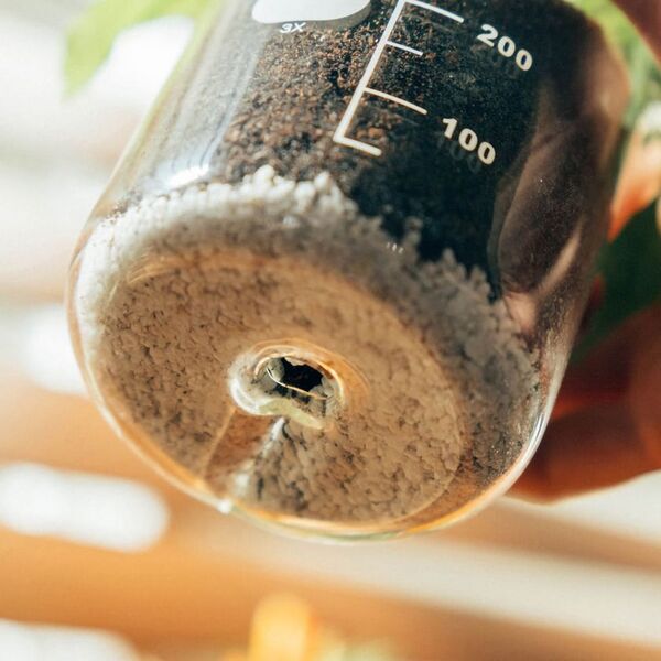 実験用ビーカーが植物用の鉢に！「ビーカーの穴あき鉢」新発売