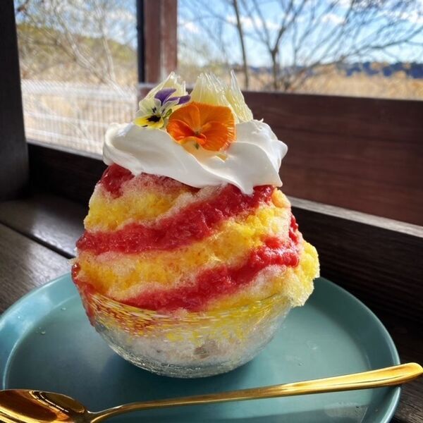 ごーらー必見！！かき氷激戦区の千葉・佐原で季節限定のかき氷を制覇しよう！