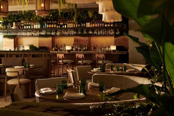 1 Hotel Seattleがグランドオープン！シアトルで最も注目されている、自然と共生するサステナブルな都会のリトリートホテルで自然と調和したラグジュアリーを体験