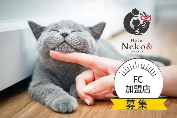 猫専門ペットホテル「ネコト」全国展開へ　フランチャイズ加盟店の募集を開始