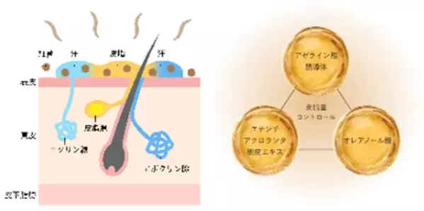 働く男性の“印象直し”習慣を社会実装へ　JR東海運営の東京駅直上ワーキングスペースで6月2日から「日中ケア実証」を開始
