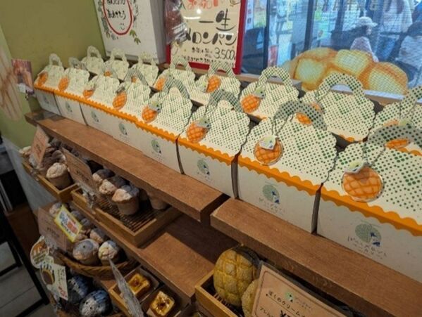 茨城メロンの美味しさで、人と人をつなぐ。『常総メロンフェス 2025』6月1日(日)～6月30日(月)開催～生産量日本一を誇る茨城県産メロンの魅力を、常総からお届け～