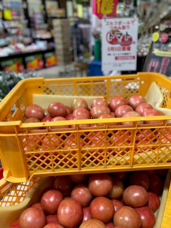 ＼毎週ワクワク！詰め放題イベント盛りだくさん！／群馬県渋川市『上州・村の駅』　6月の毎週土日は「お野菜イベント」で地域を元氣に！