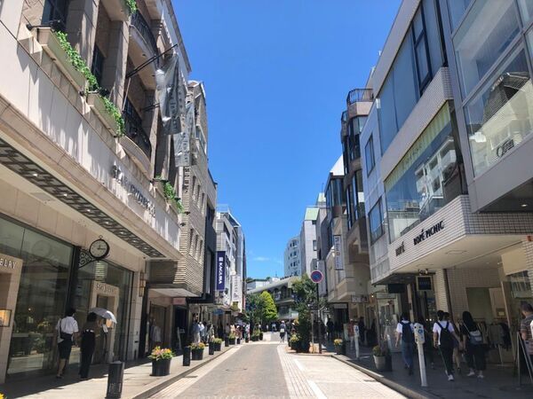 2025年7月1日より、ピーターラビット(TM)の作者ビアトリクス・ポター(TM)生誕160周年施策「Peter Rabbit(TM) Flower Celebration in Yokohama」が開始！