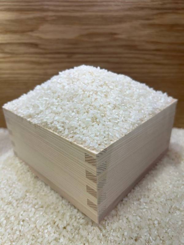 お米を愛し、お米に愛された道の駅常総からお届け！ご家庭応援の6月・7月！毎週火曜日と木曜日は「お米掬いイベント」開催