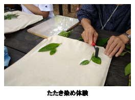 六甲高山植物園×伊丹市昆虫館夏イベント「しょくぶつとむし」開催決定！