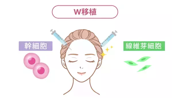 青山レナセルクリニック、「肌の再生医療業界」を刷新　初の真皮線維芽細胞と幹細胞の同時移植治療法を開発