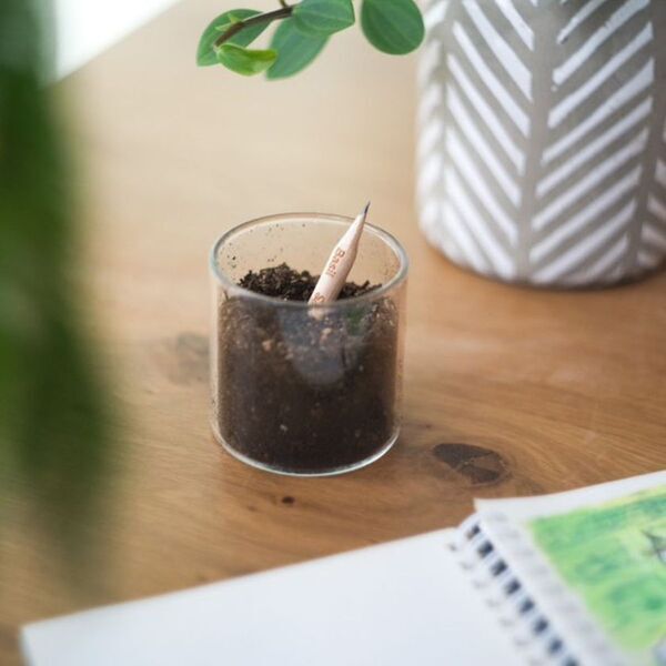 人や環境にやさしい日本製雑貨を取り扱う「ktp.labo」実店舗、東京都墨田区にオープン！手芸ブランド商品の販売も実施