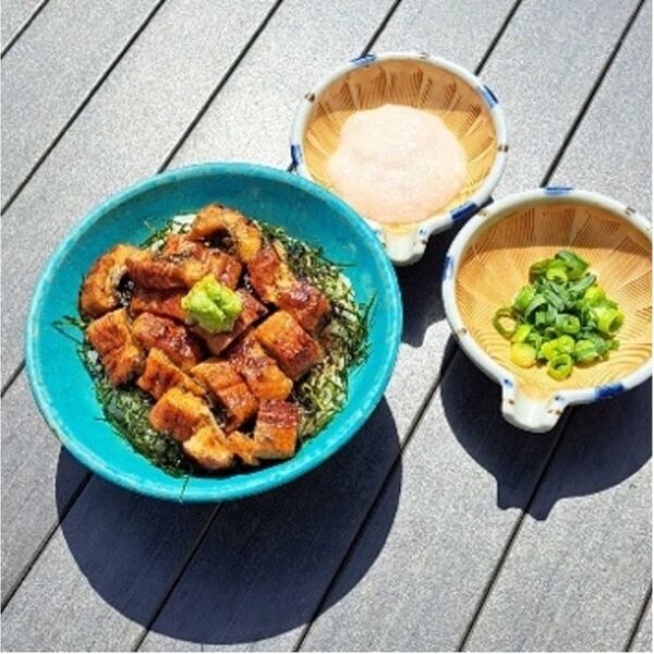 ＼長さ25cmの特大うなぎ一本丼が登場！／駿河湾沼津サービスエリア上り線内「おさかな丼屋 とと丸食堂」で夏バテ防止のお手伝いとして鰻と自然薯入りとろろを使用した夏のスタミナ丼の販売を6月9日(月)より販売。