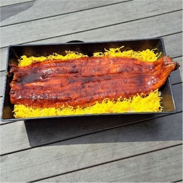 ＼長さ25cmの特大うなぎ一本丼が登場！／駿河湾沼津サービスエリア上り線内「おさかな丼屋 とと丸食堂」で夏バテ防止のお手伝いとして鰻と自然薯入りとろろを使用した夏のスタミナ丼の販売を6月9日(月)より販売。