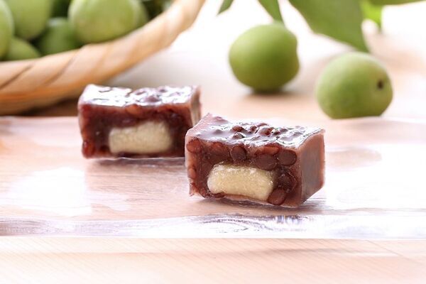 叶 匠壽庵の梅狩りイベントが6月14日から開催！