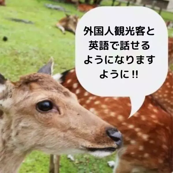 奈良のカフェで初心者向け英会話を行う「英会話Deer」　七夕特別企画キャンペーンを6/7より開催！