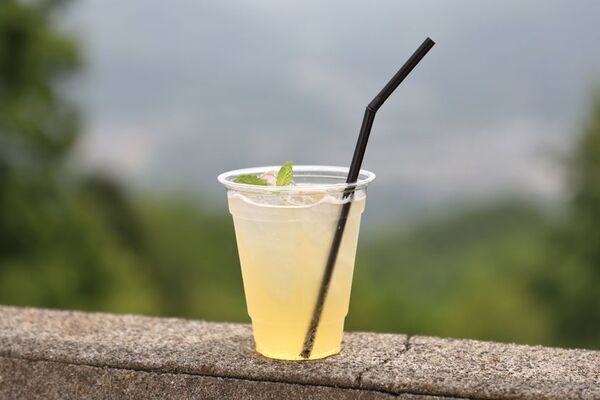 都心から気軽にアクセス！埼玉県に新たな展望スポット誕生！長瀞(ながとろ)・宝登山(ほどさん)「SUSABINOテラス」7月7日オープン