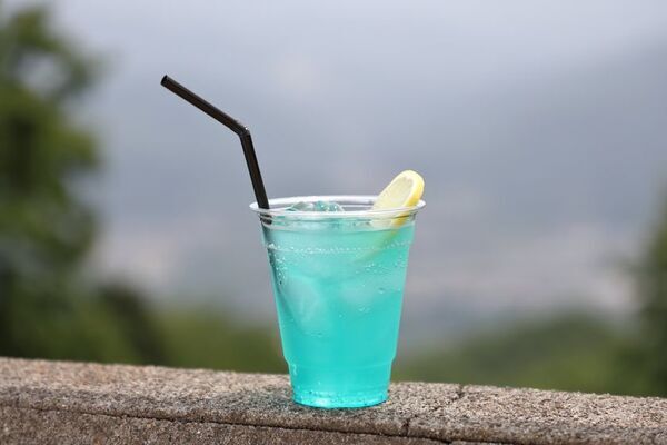 都心から気軽にアクセス！埼玉県に新たな展望スポット誕生！長瀞(ながとろ)・宝登山(ほどさん)「SUSABINOテラス」7月7日オープン