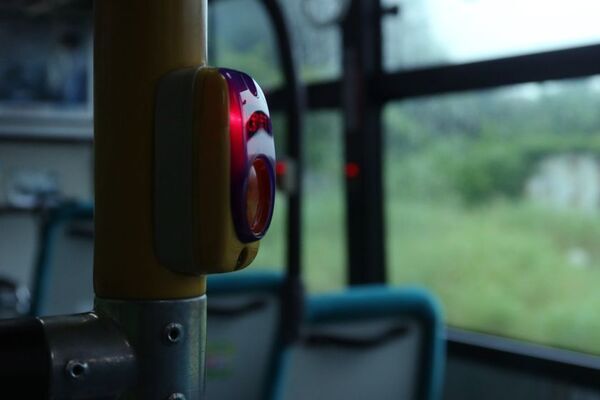 伊豆半島最南端の絶景と歴史を巡る1泊2日・女性限定“フォト・ストーリーテリングの旅”3月・5月に続き大好評！7月開催のお知らせ