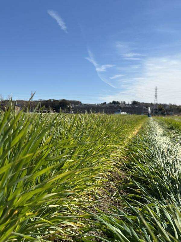 父の日ギフトにも最適！“パンのミミ”から生まれたクラフトビール「Better life with upcycle」の送料無料キャンペーンを6月12日(木)まで開催