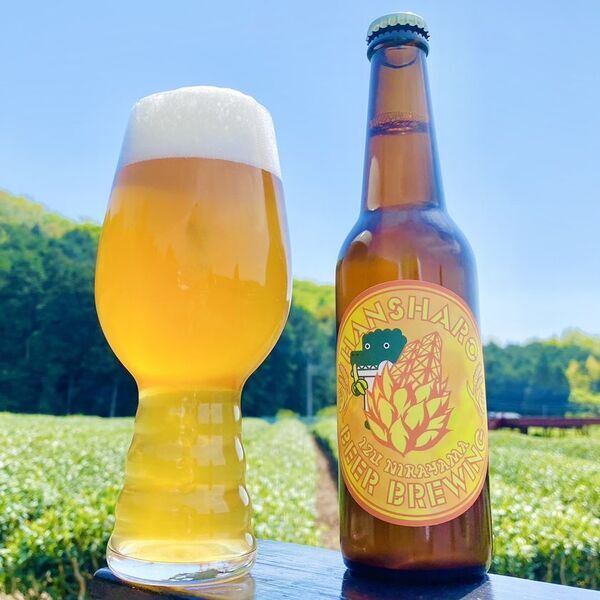 熱川バナナワニ園のクラフトビールや台湾の雰囲気が楽しめる「熱川ゆけむり夜市ビール列車」を7月12日に運行