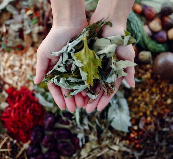 コーヒー豆×酵素のチカラで、美味しく腸活・美容習慣「珈り(かみかざり)酵素」クラウドファンディングを開始！