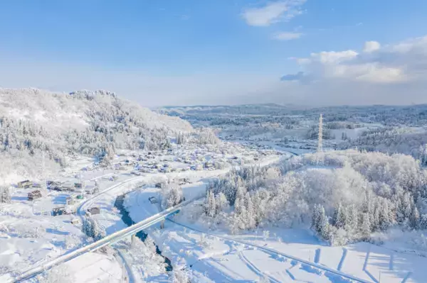 コーヒー豆×酵素のチカラで、美味しく腸活・美容習慣「珈り(かみかざり)酵素」クラウドファンディングを開始！